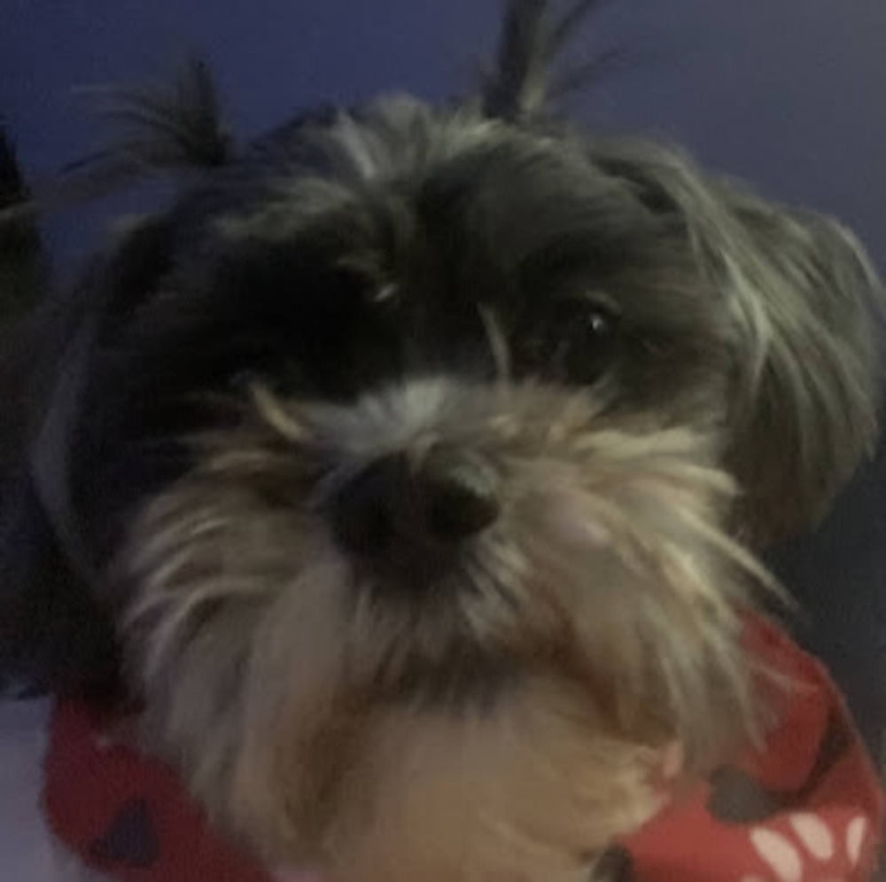 Meet your Posher, Natalie